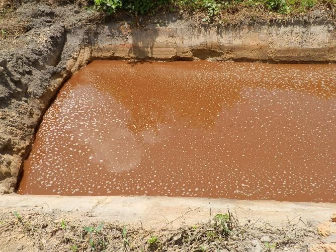 Contaminated site before remediation
