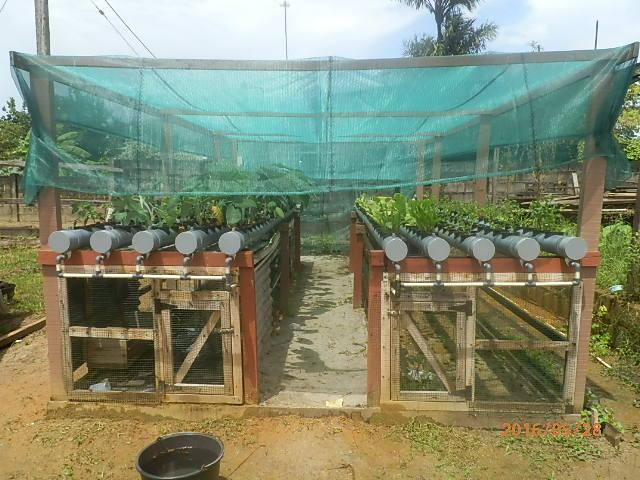 Aquaponics & controlled agriculture setup